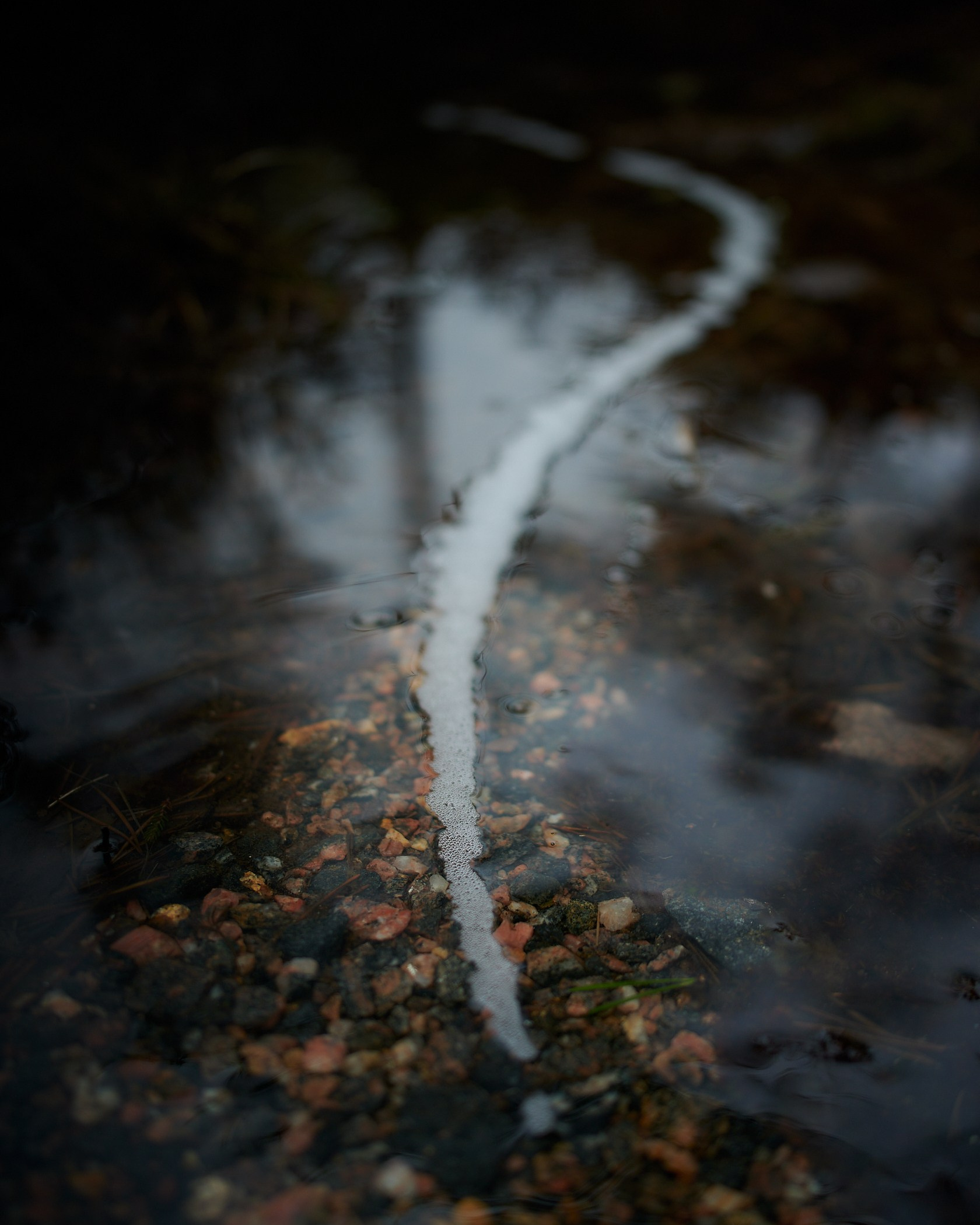 My favourite photos, class of 2024. Yuri Popkov | Photographer