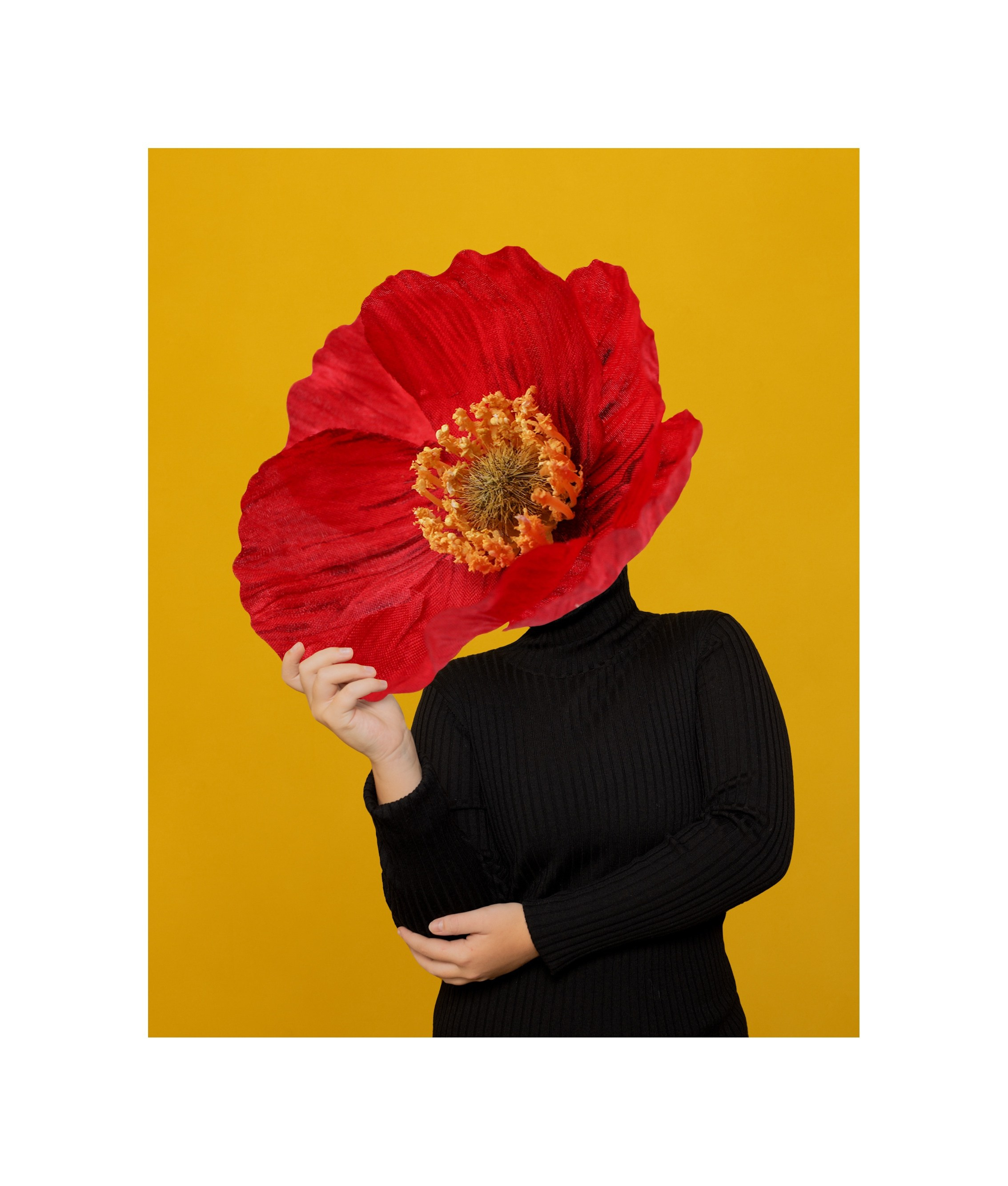 Gallery. Olga Häckel