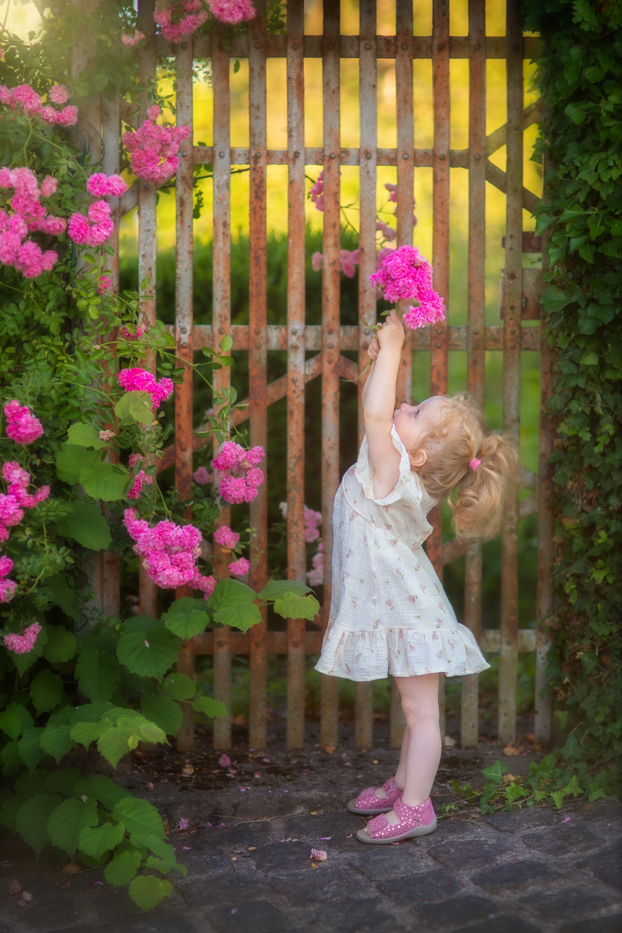 Fine Art photographer in Luxembourg Anastasia Arend