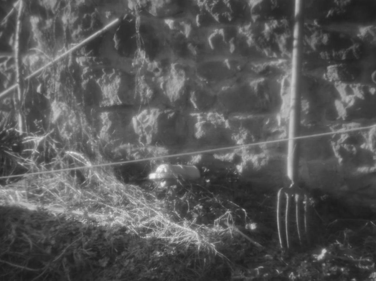 Echoes of Silence. Demyd — art collection