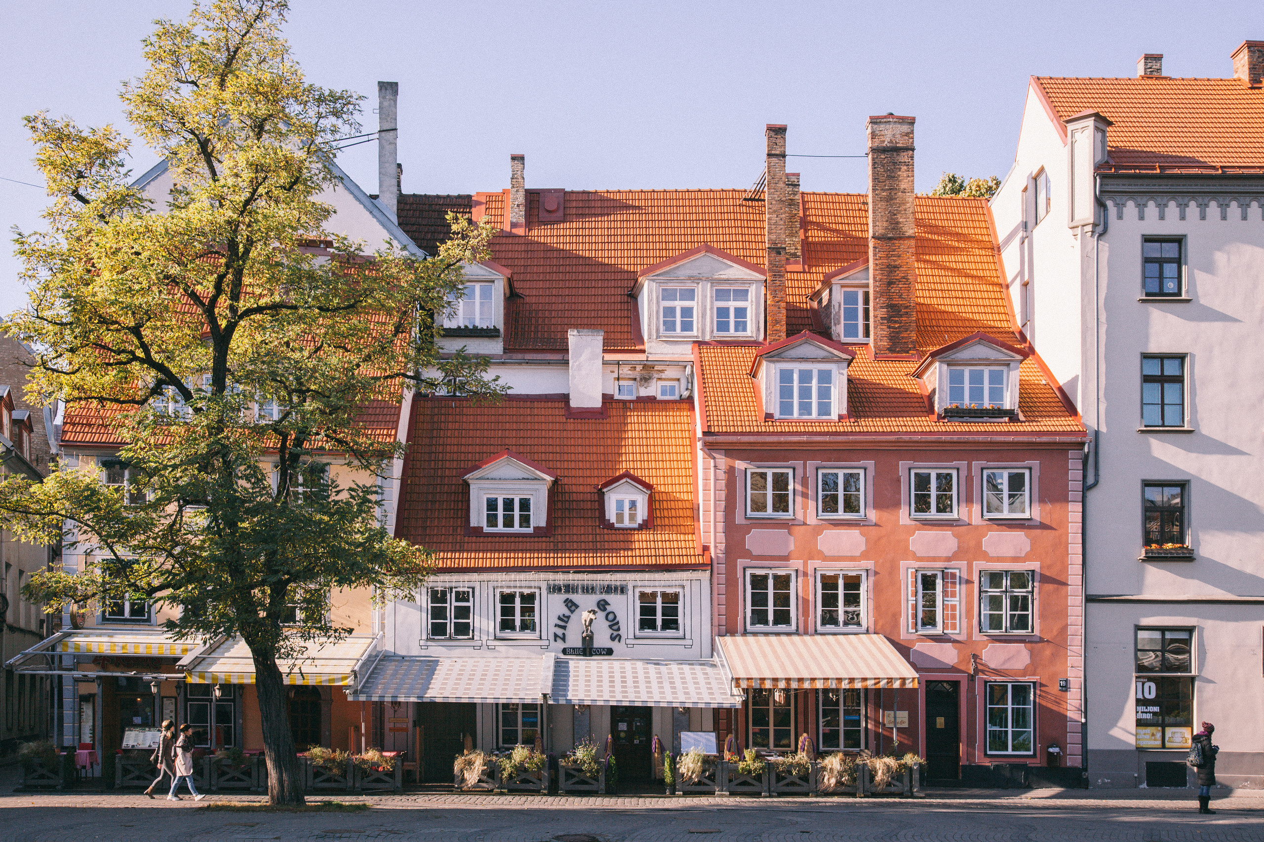 Riga im Oktober. Maria Chistyakovа — Fotografin in Karlsruhe, Baden-Baden und Umgebung