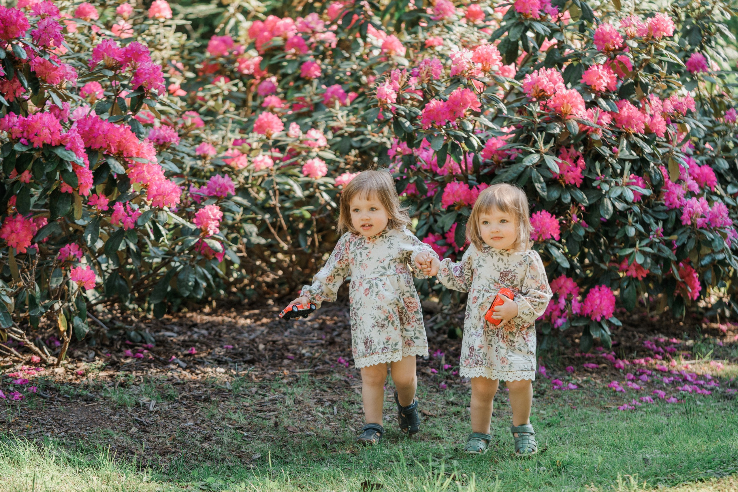 Kaksosten kuvaus Alppiruusupuistossa