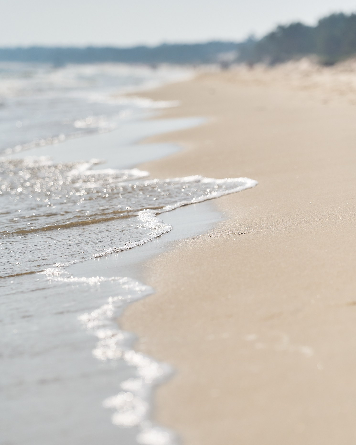 My favourite photos, class of 2024. Yuri Popkov | Photographer