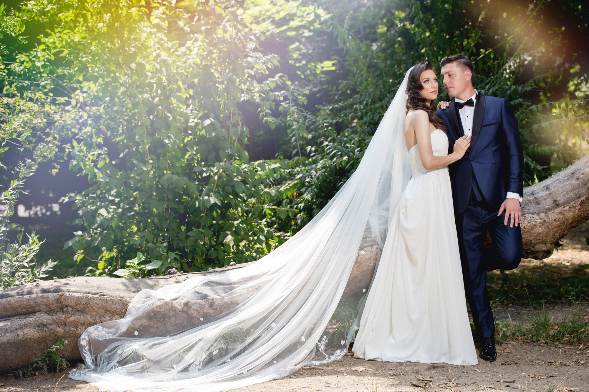 Fotografii Nunta. MGA STUDIO ART — Fotograf evenimente