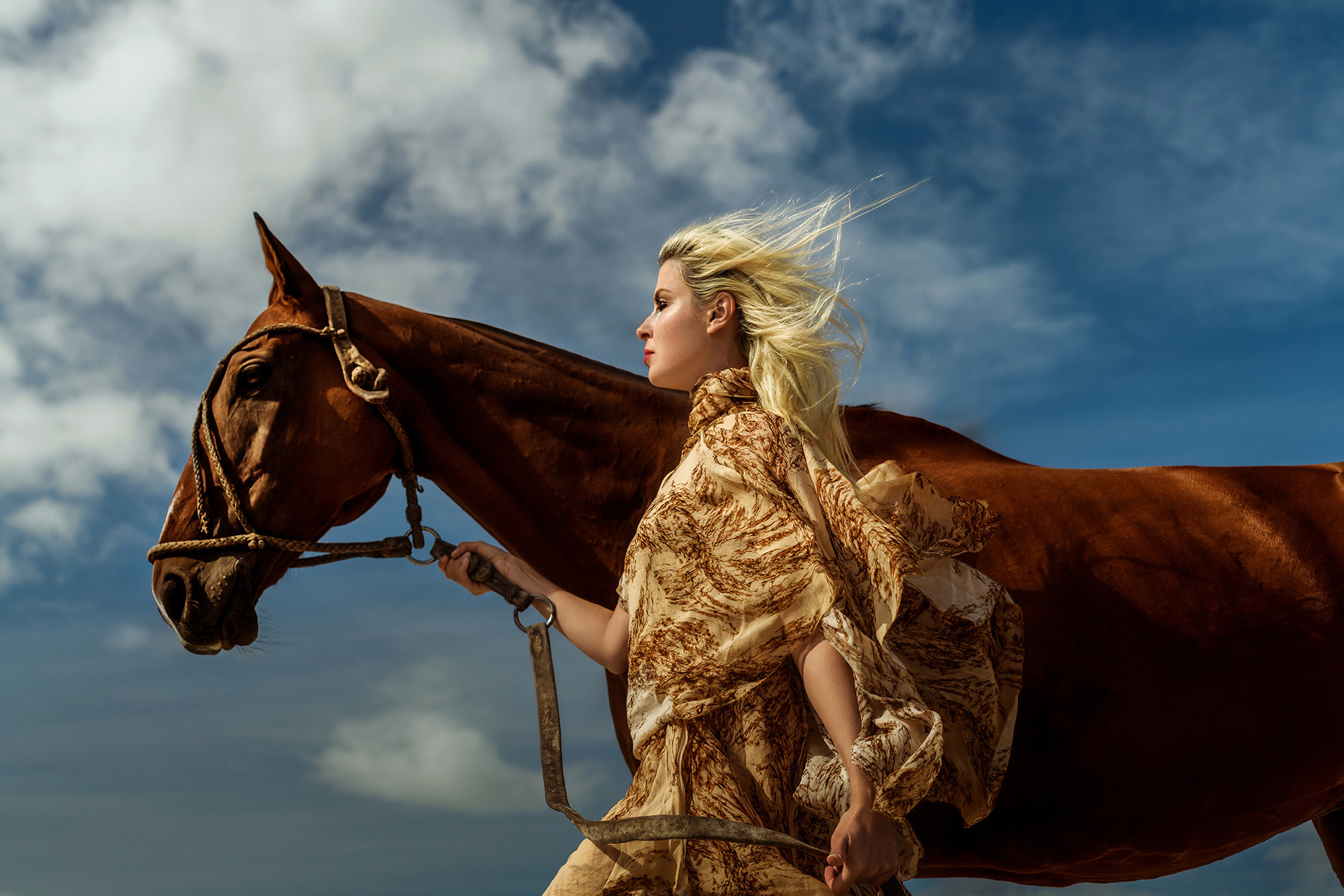 Process — a ballerina and a horse