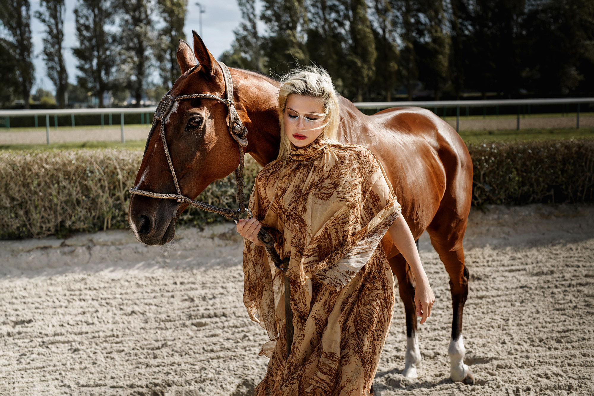 Process — a ballerina and a horse