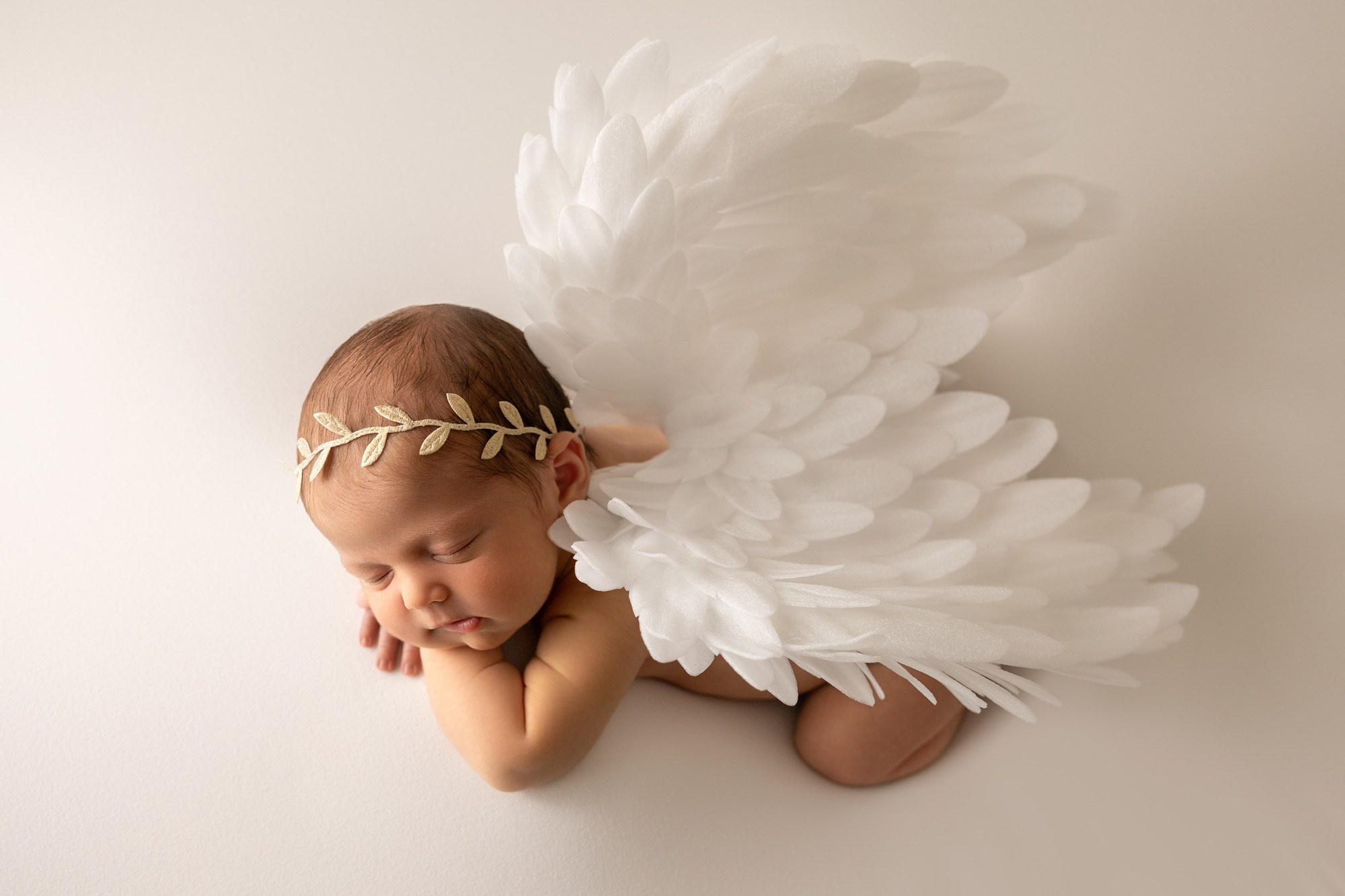 Packages & pricing. Newborn photographer in Tampa Bay Area, FL