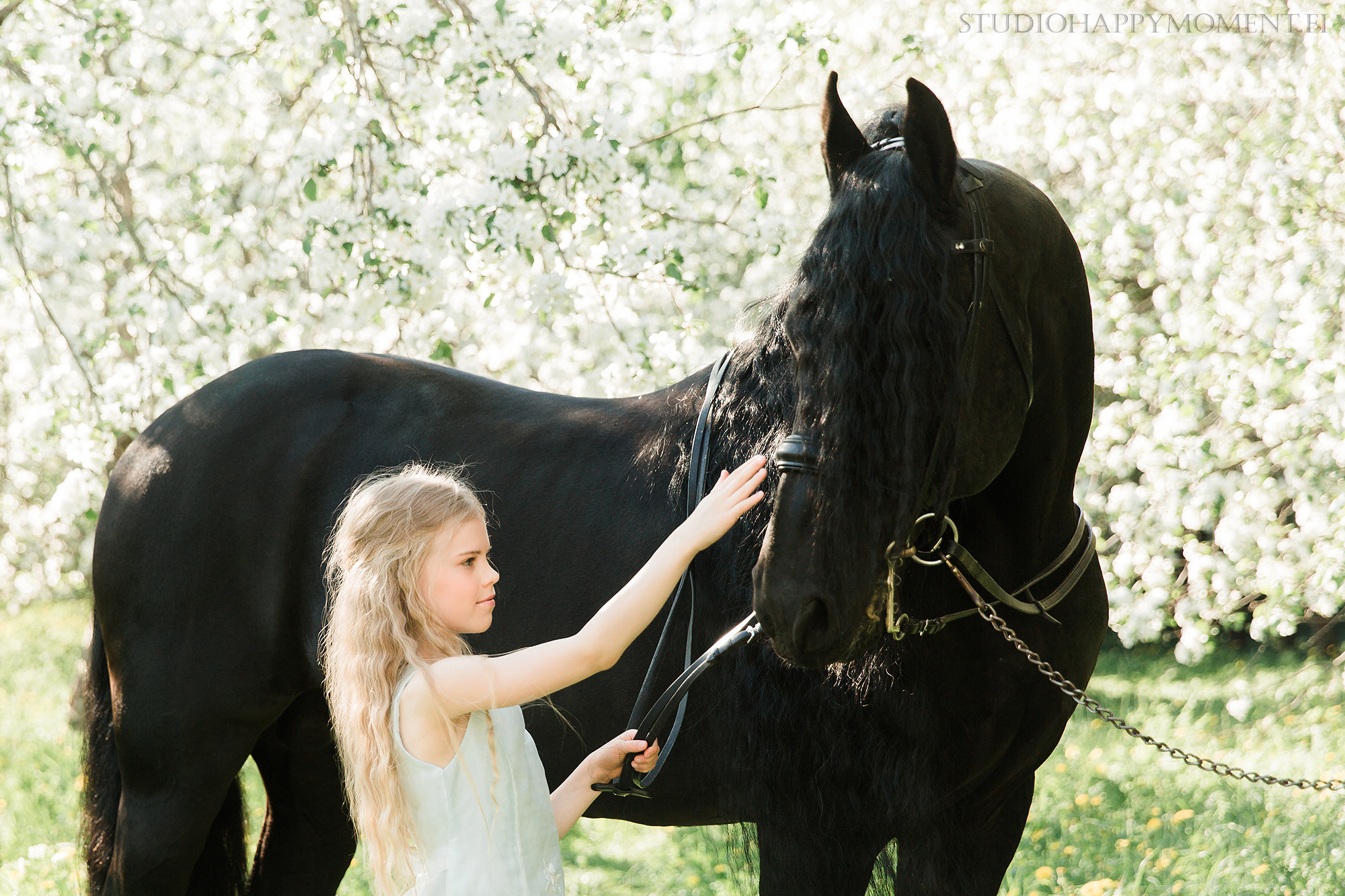 Perhekuvaus Helsingin omenatarhassa