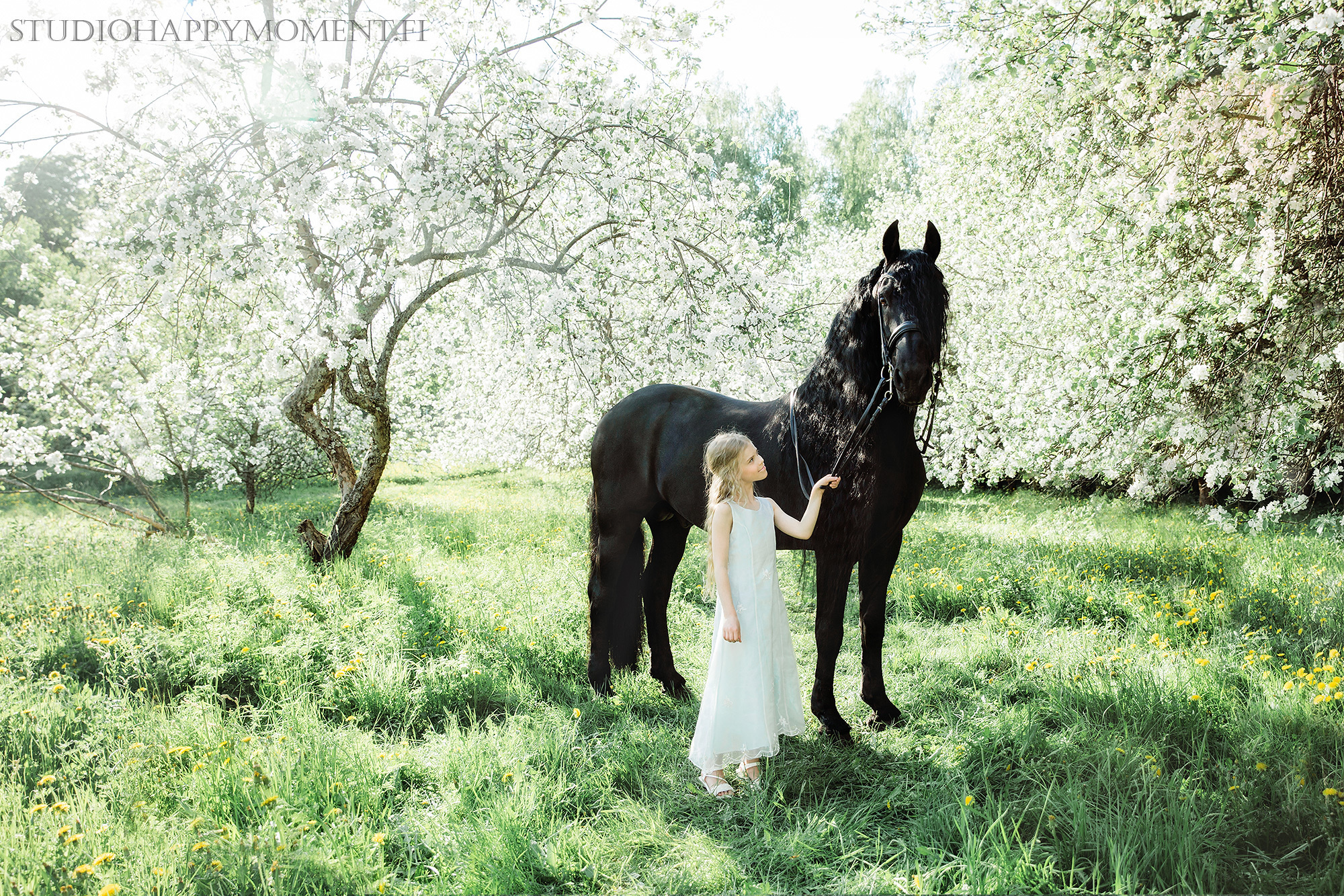 Perhekuvaus Helsingin omenatarhassa