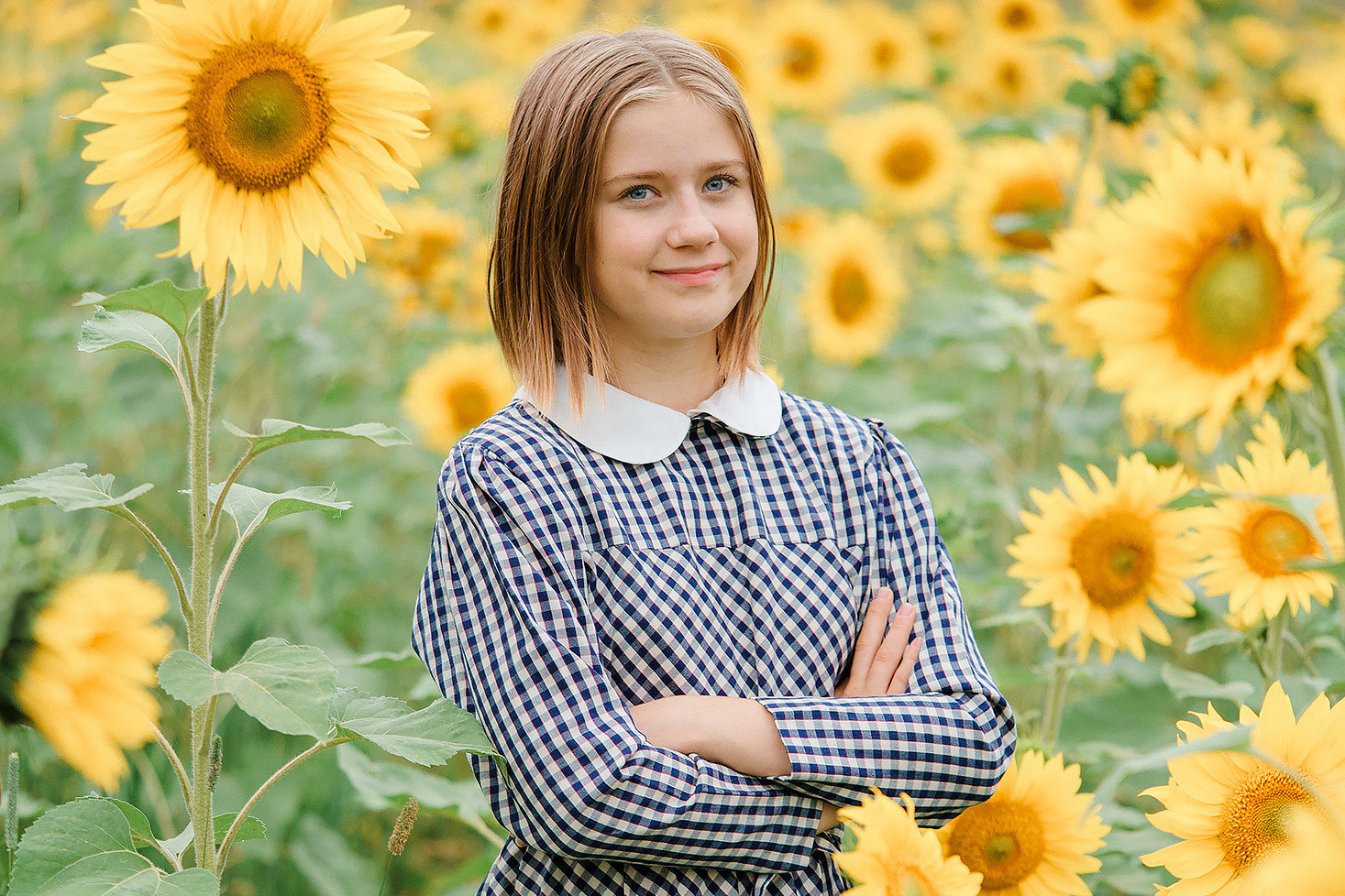 Lapsikuvaus auringonkukkapellolla