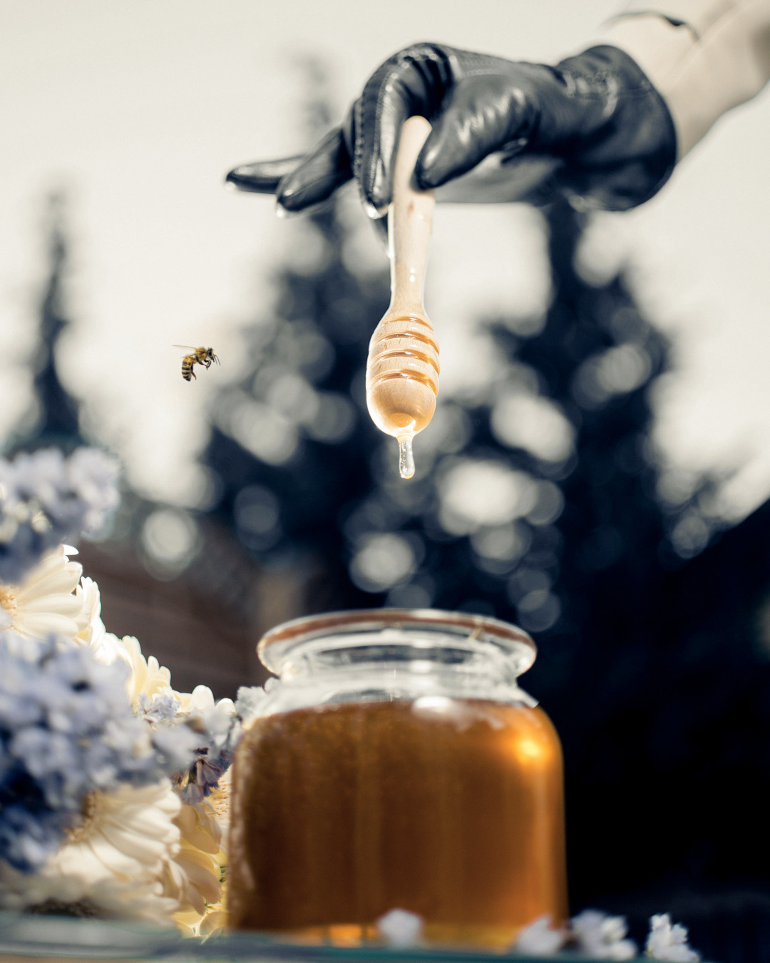 Ogródkowy Fashion. NK Picture - Fotograf Lublin, Warszawa