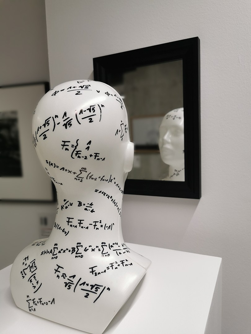 Apercepcja. Halina Marduła