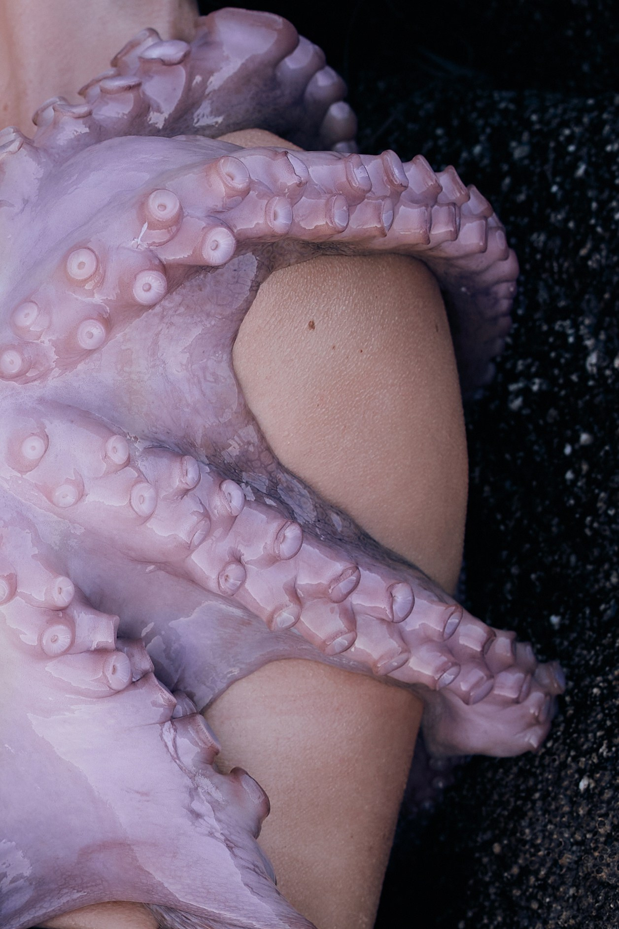 Pulpo. Фотограф в Барселоне Жанна Захарченко