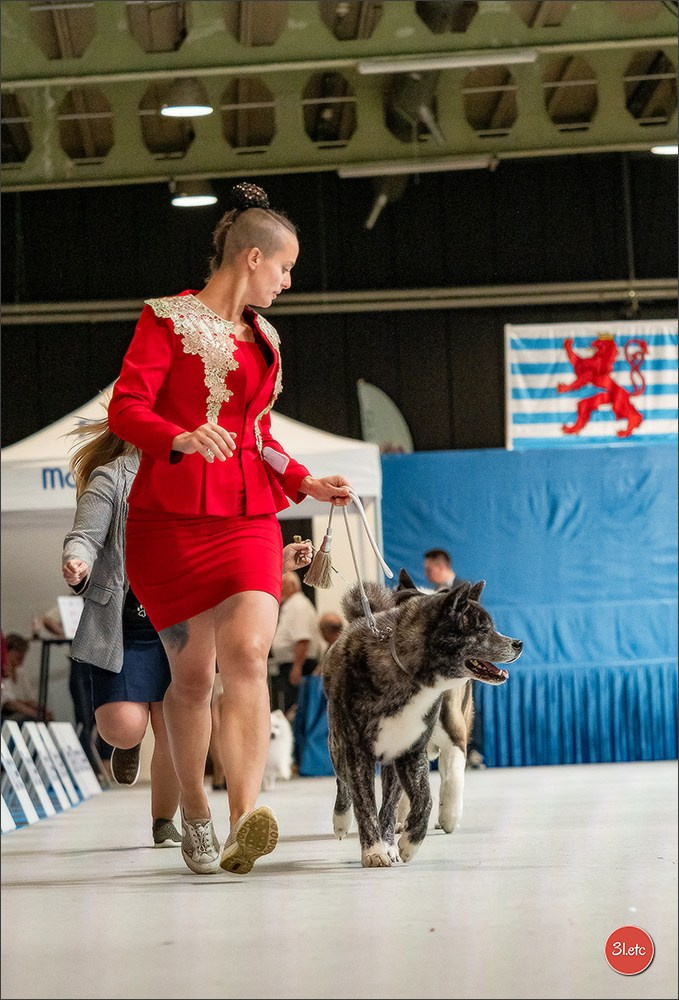 🇱🇺 LUXEMBOURG 🇱🇺 International Dog Show 🇱🇺 30/08 - 31/08/2025. Photographe à Strasbourg | Portraits, Studio, Enfants, Événements
