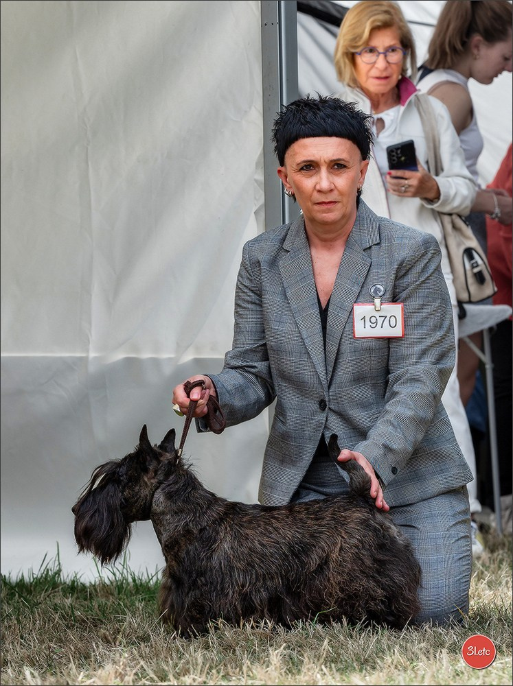 Championnat de France du chien de race  🇫🇷  DIJON (château de Brognon) 7-8/06/2025. Photographe à Strasbourg | Portraits, Studio, Enfants, Événements