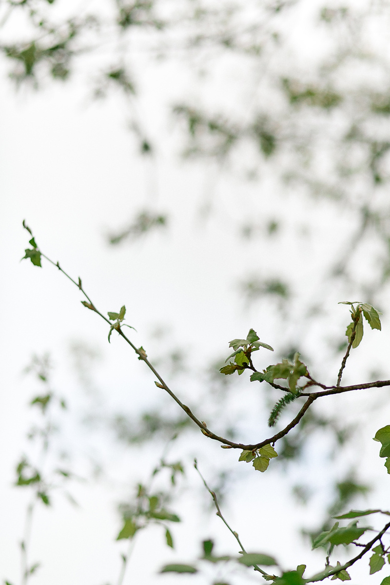 свадьба и фотограф в бенидорме, аликанте, барселоне