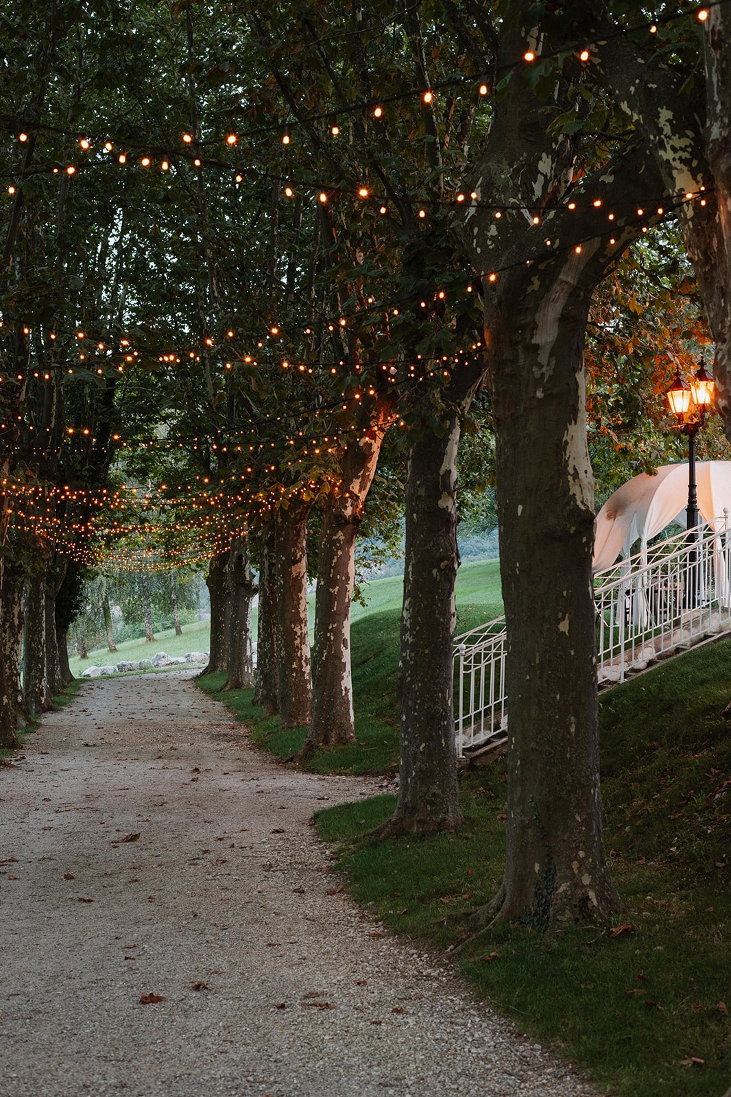 Axelle & Thomas. Ekaterina Brevet - photographe de mariage