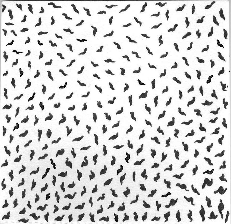 Paintings. Portrait & Brand Photographer in Bradford, West Yorkshire