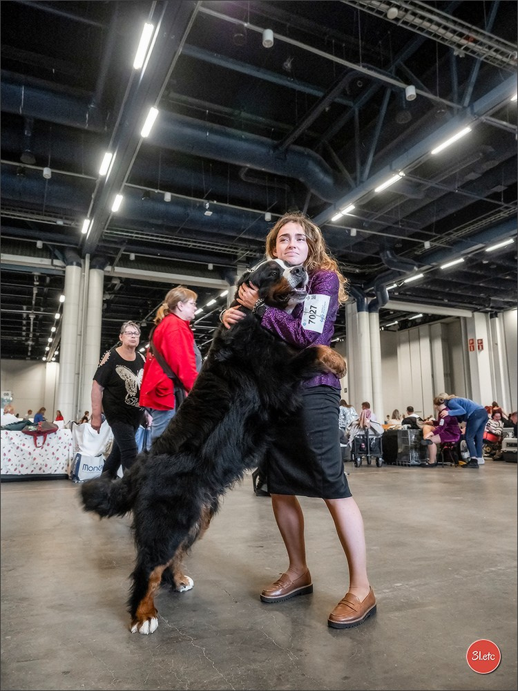🇫🇮 WDS Helsinki 2025 🇫🇮. Photographe à Strasbourg | Portraits, Studio, Enfants, Événements