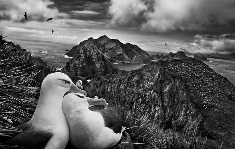 CAFE DEL PHOTO #91 «Соль Земли». Памяти Сальгадо. Școala de fotografie lui Roman Ribaliov. Orașul Chișinău, Moldova