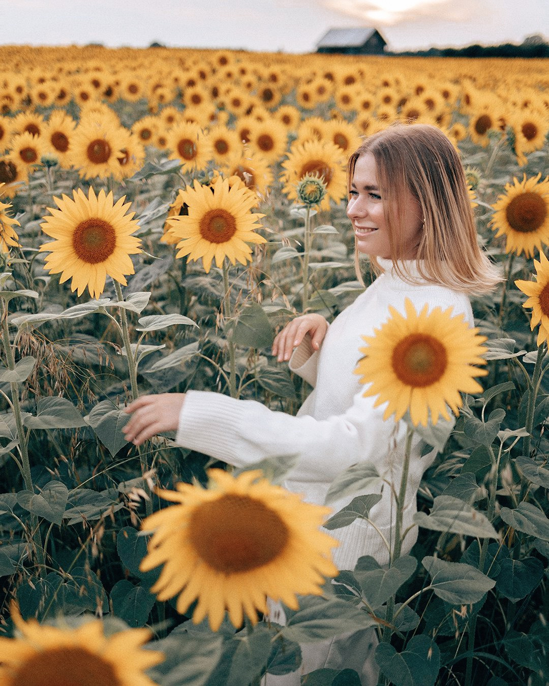 August. Sunflowers. Family photograph in Munich Anastasia Vorobtsova