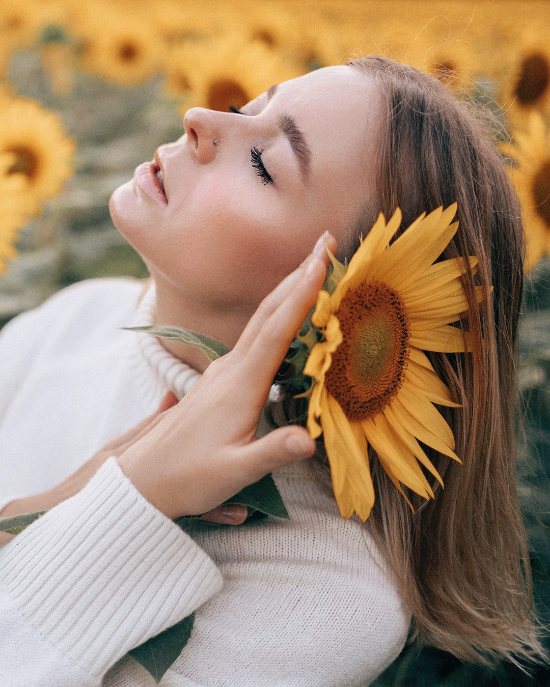 August. Sunflowers. Family photograph in Munich Anastasia Vorobtsova