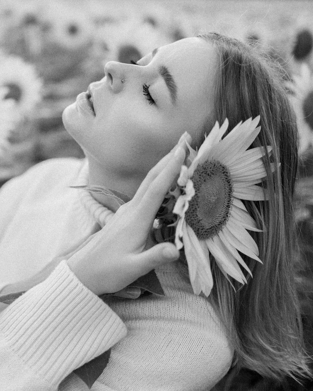 August. Sunflowers. Family photograph in Munich Anastasia Vorobtsova