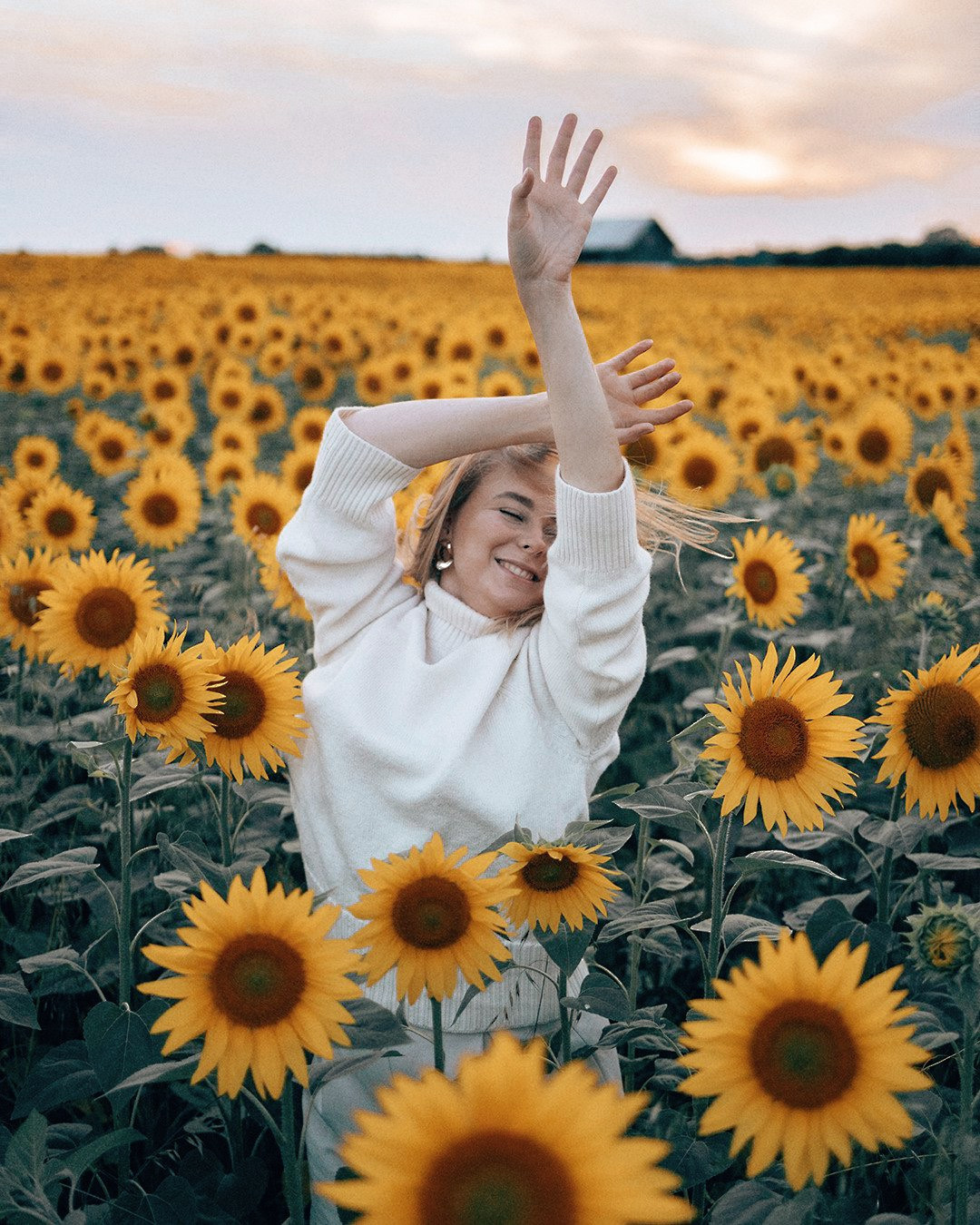 August. Sunflowers. Family photograph in Munich Anastasia Vorobtsova