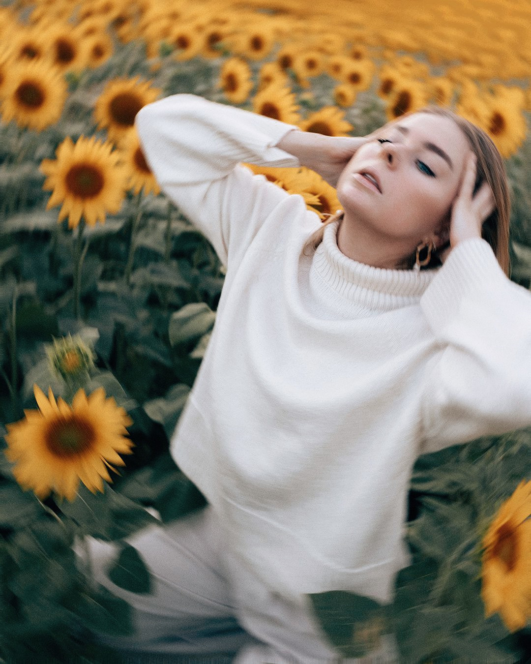 August. Sunflowers. Family photograph in Munich Anastasia Vorobtsova