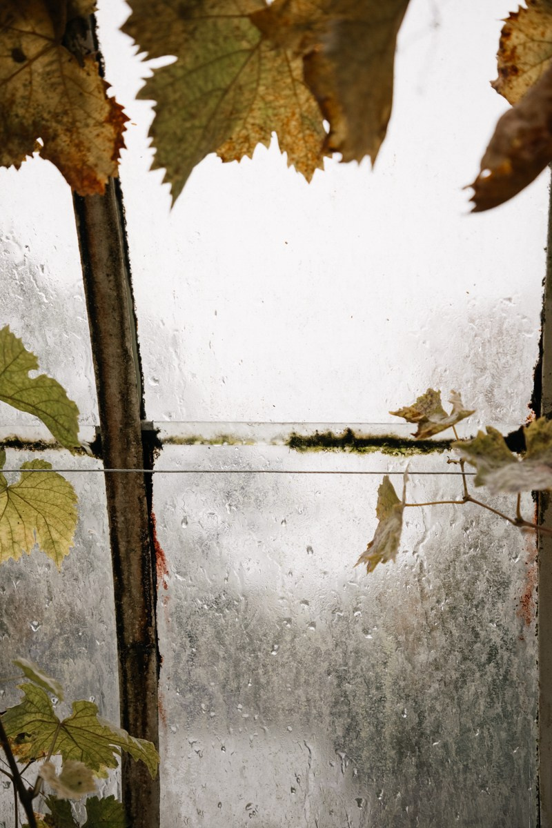 R & J Netherlands. Весільний фотограф у Нідерландах та Європі — Тіна Ялóва