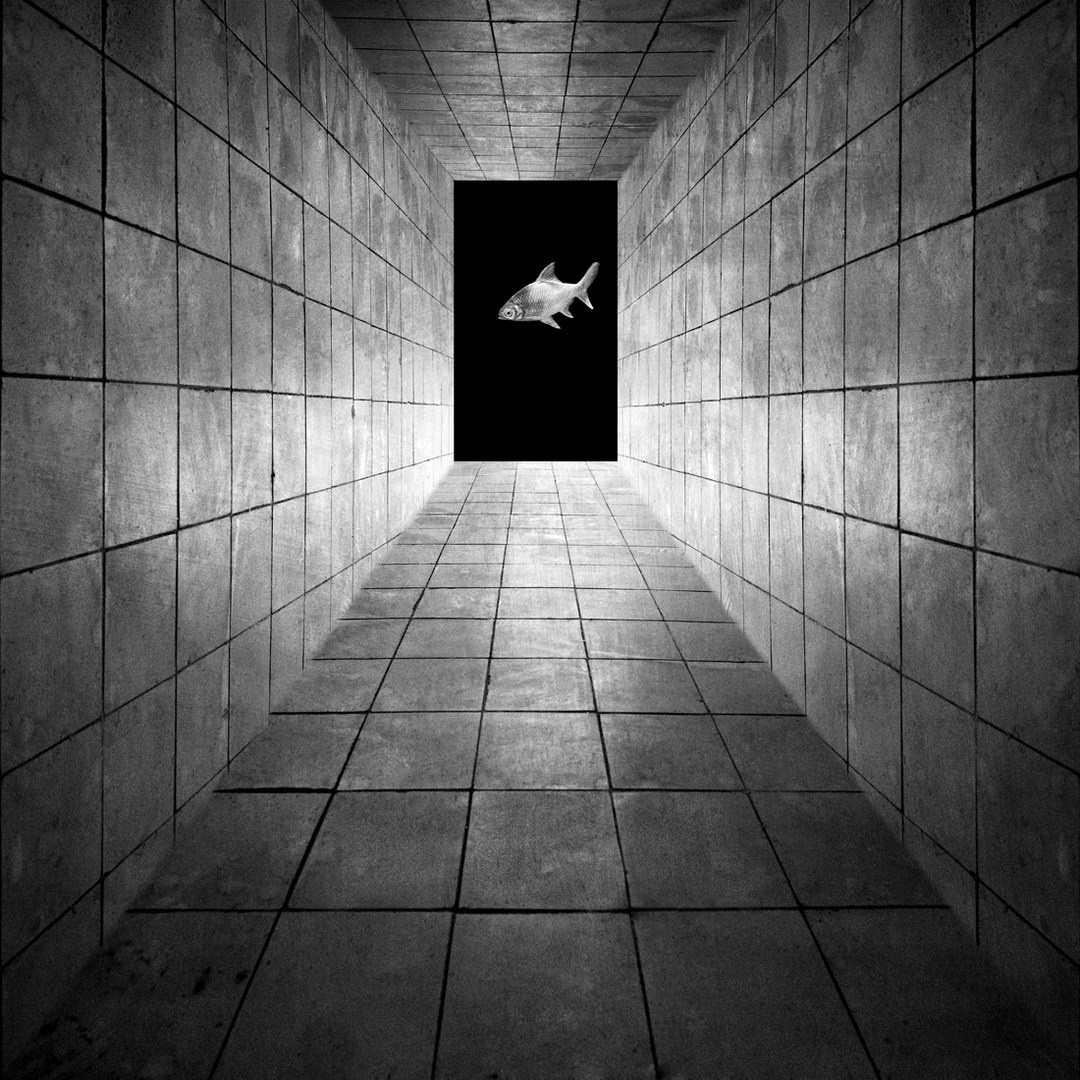 Meetings with Morpheus. Halina Marduła, visual artist, lives and works in Wrocław (Poland)