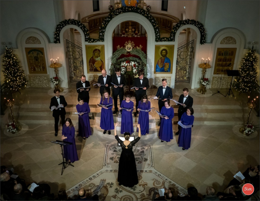 Concerts . Carnavals . Festivals. Photographe à Strasbourg | Portraits, Studio, Enfants, Événements