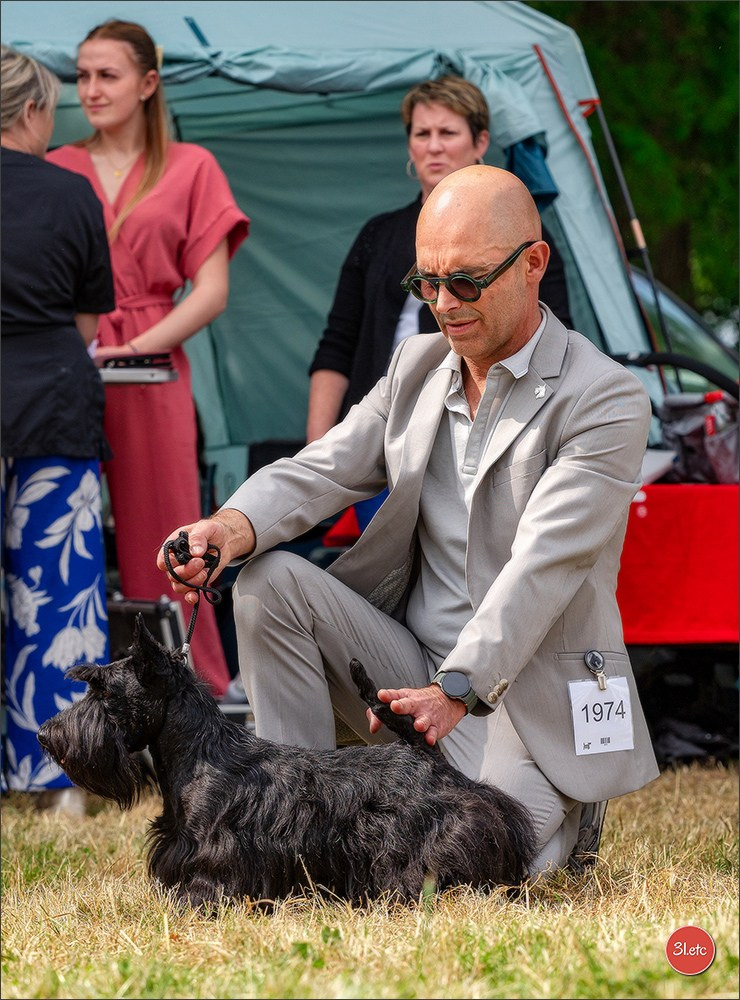 Championnat de France du chien de race  🇫🇷  DIJON (château de Brognon) 7-8/06/2025. Photographe à Strasbourg | Portraits, Studio, Enfants, Événements