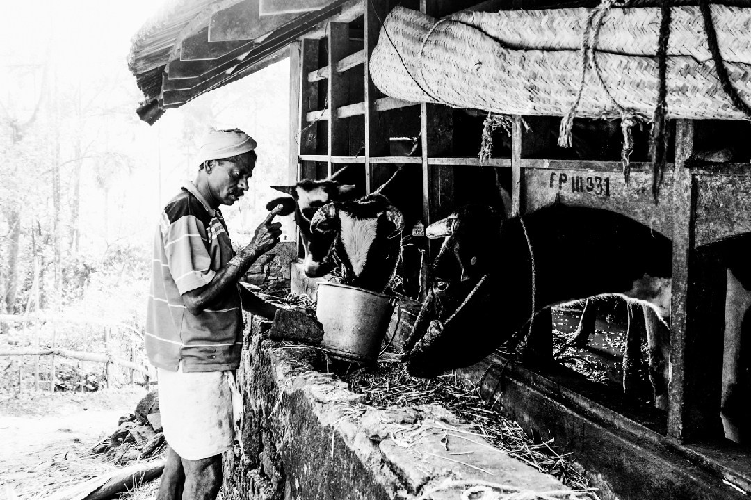 Documentary. Murat Bostan Fotografie für Events, kleine Hochzeiten und Portraitfotografie