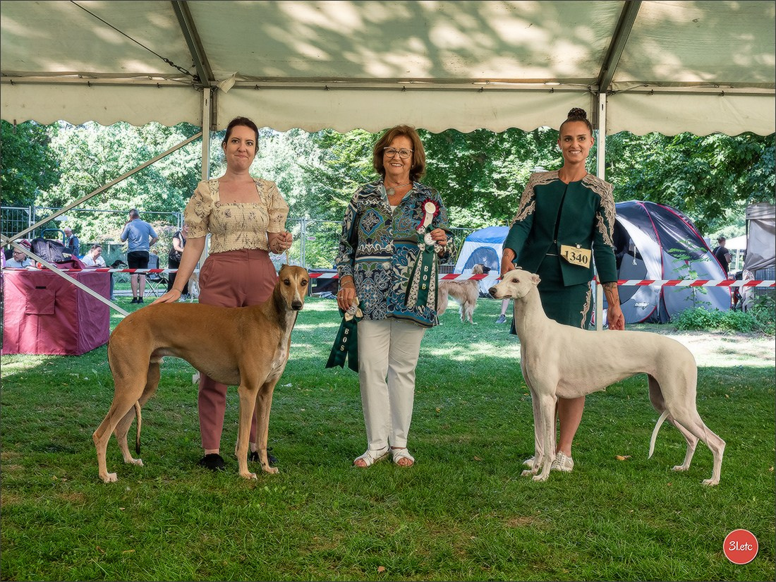 Dog Show Ludwigshafen  🇩🇪  16-17/08/2025. Photographe à Strasbourg | Portraits, Studio, Enfants, Événements