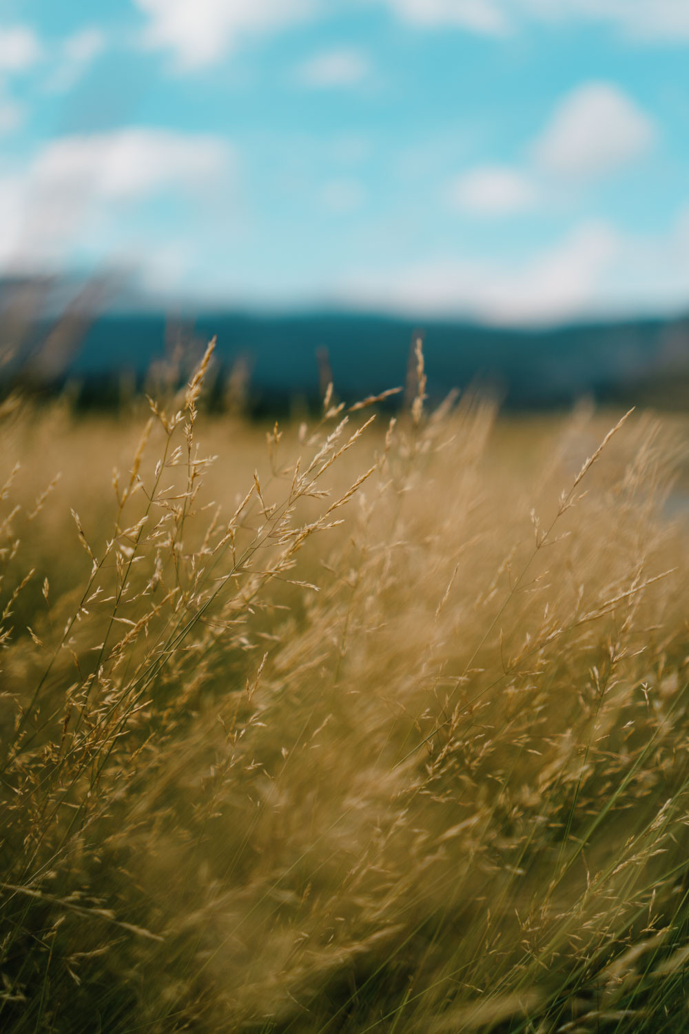 A Night in Rama Lake. Profesionalna Fotografija i Videografija | Sarajevo | yasinemir.com