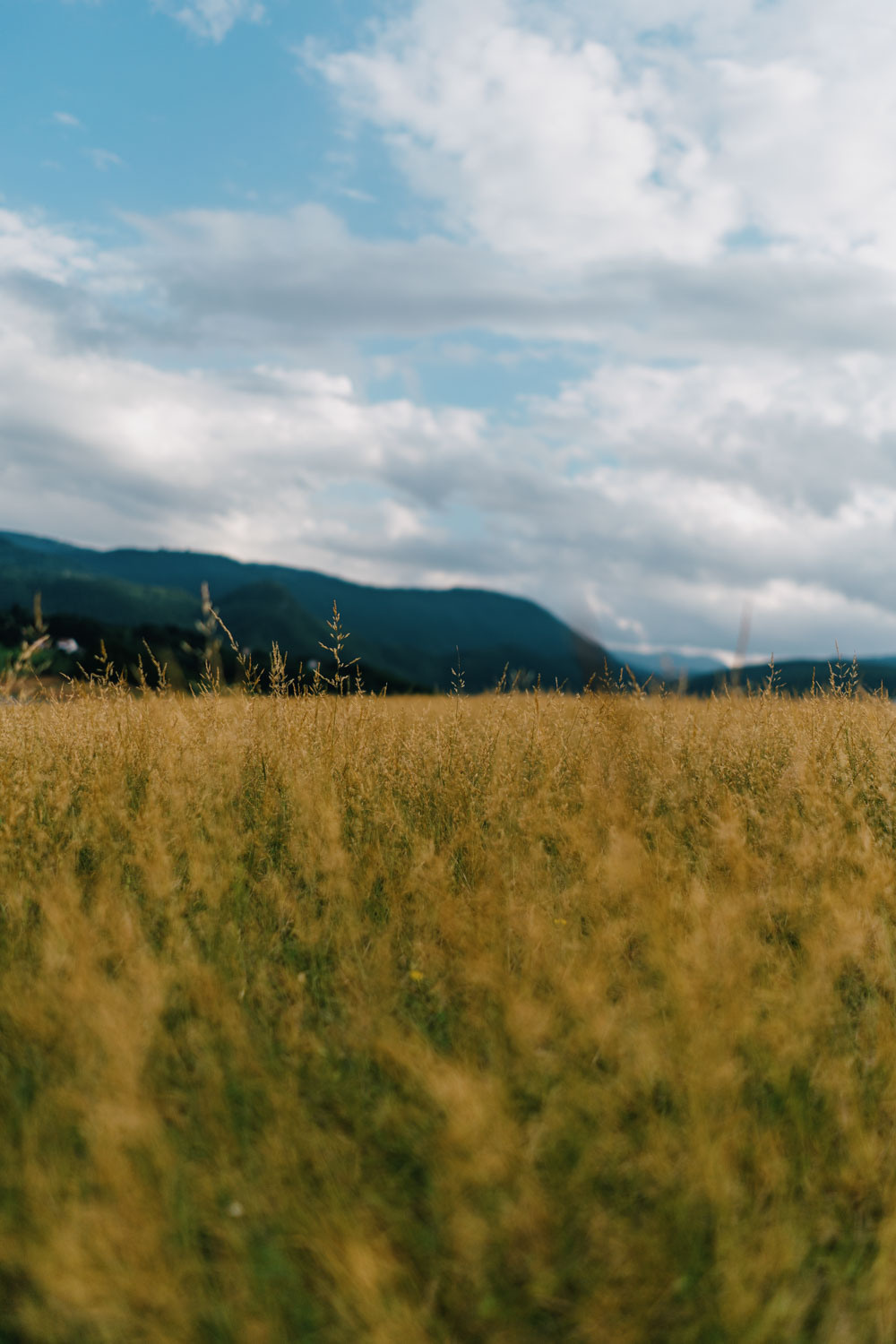 A Night in Rama Lake. Profesionalna Fotografija i Videografija | Sarajevo | yasinemir.com