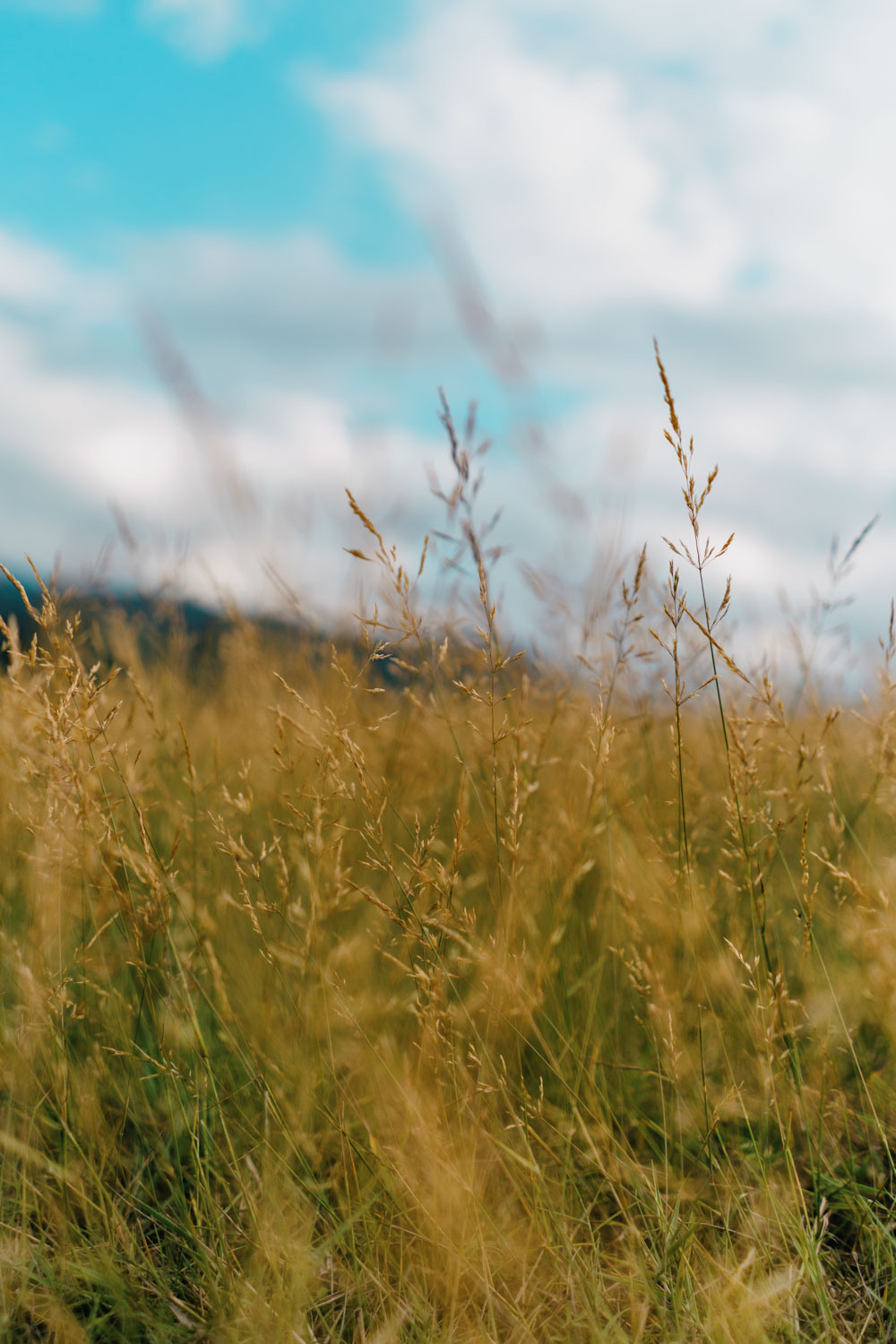 A Night in Rama Lake. Profesionalna Fotografija i Videografija | Sarajevo | yasinemir.com