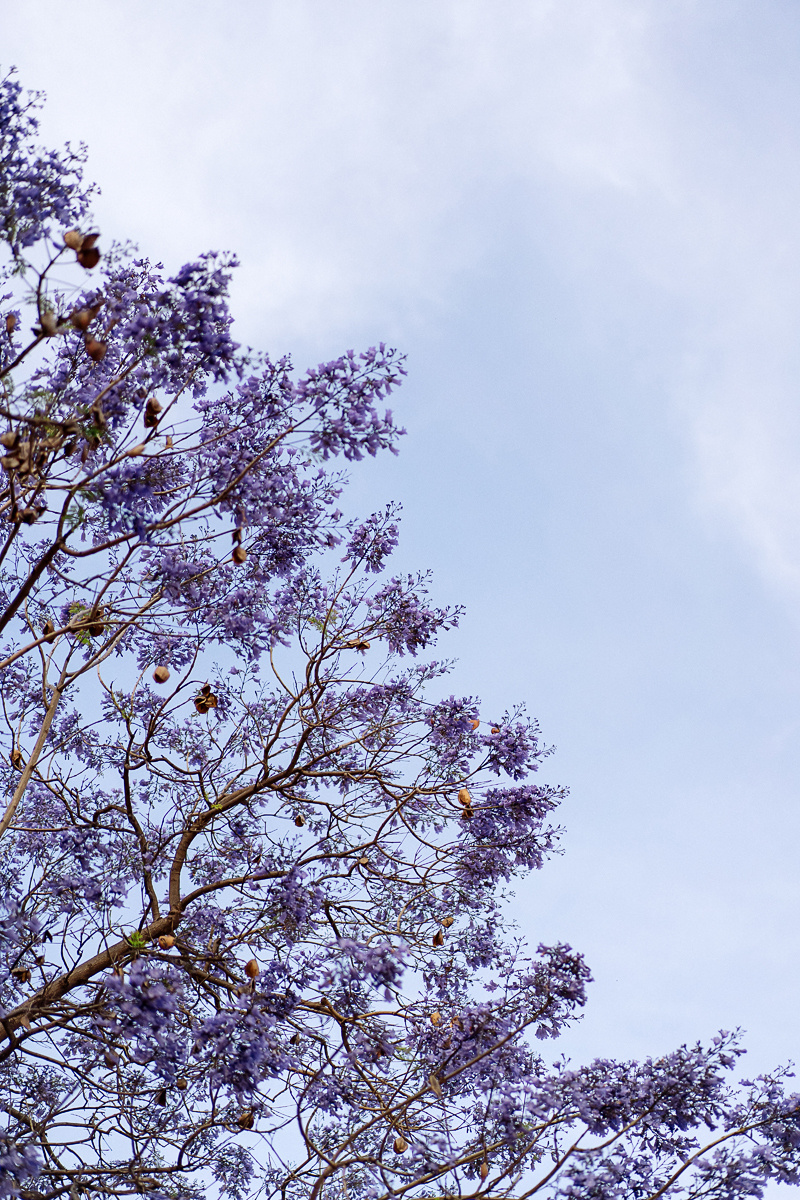 фотограф в бенидорме, аликанте, валенсии