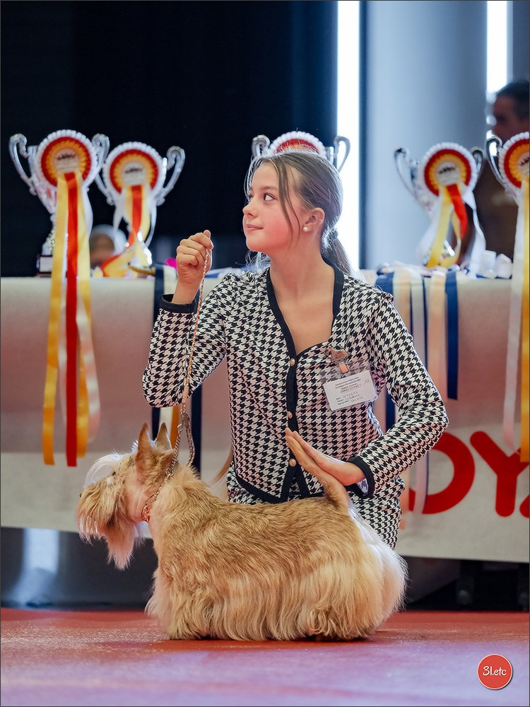 Expo canine 🇫🇷 MARGNY LES COMPIEGNE 06-07/09/2025. Photographe à Strasbourg | Portraits, Studio, Enfants, Événements