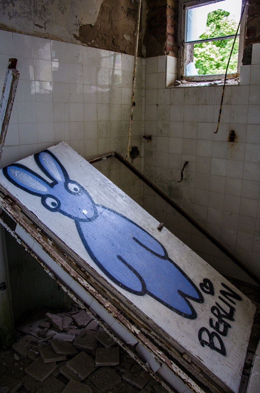 Aesthetic of Chaos. Katerina Kiper Photography