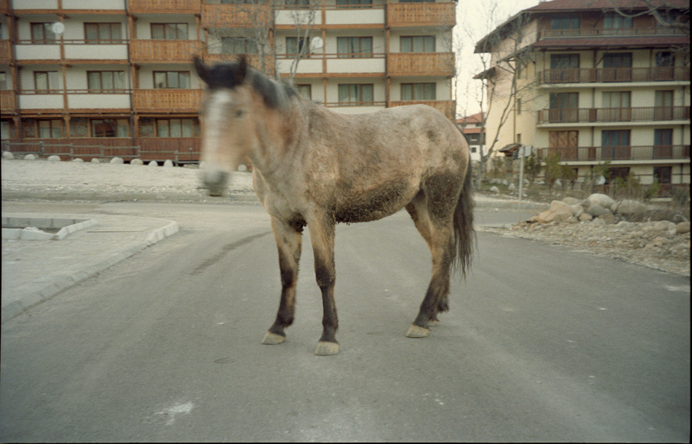 Documentary photography. Portrait Photographer in Brussels & Amsterdam — Victoria Ushkanova