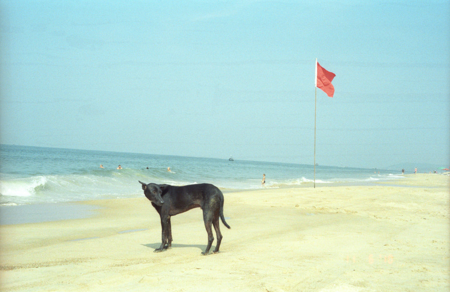 Documentary photography. Portrait Photographer in Brussels & Amsterdam — Victoria Ushkanova