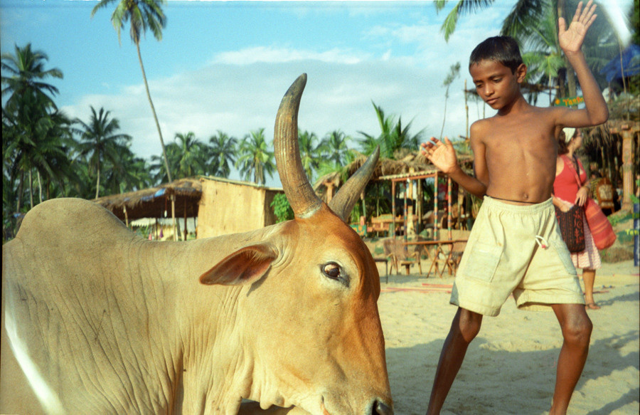 Documentary photography. Portrait Photographer in Brussels & Amsterdam — Victoria Ushkanova