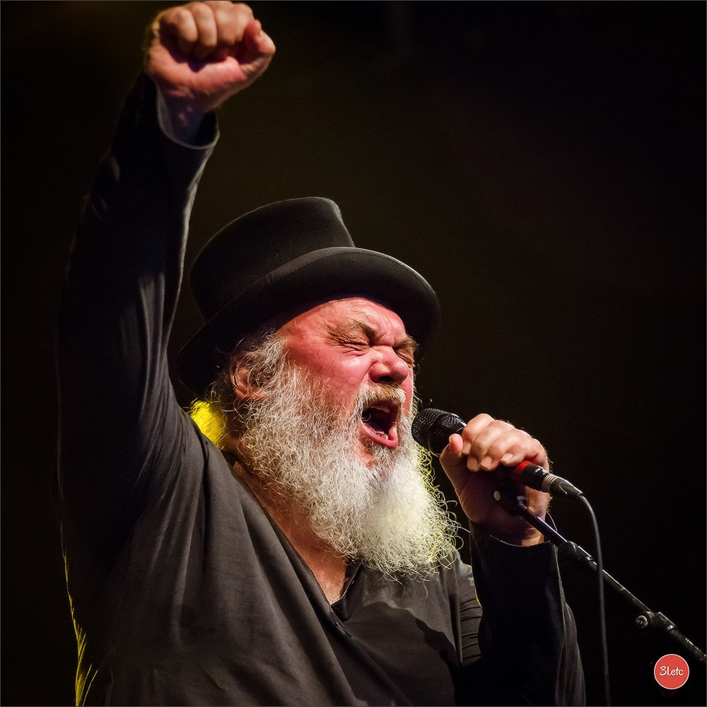 Concerts . Carnavals . Festivals. Photographe à Strasbourg | Portraits, Studio, Enfants, Événements