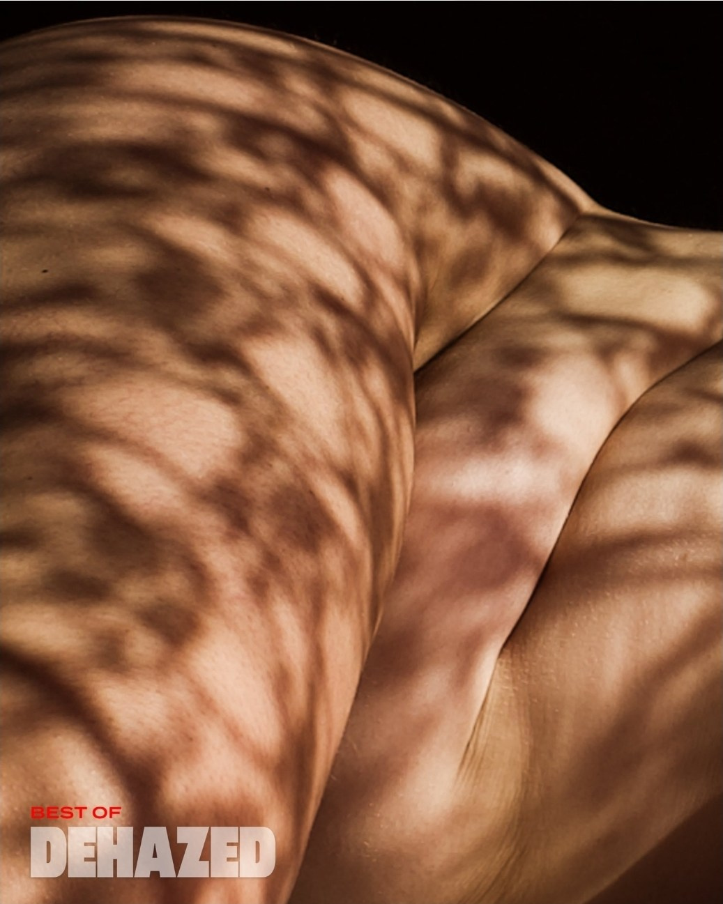 Online Publications. Jelena Kintero ART