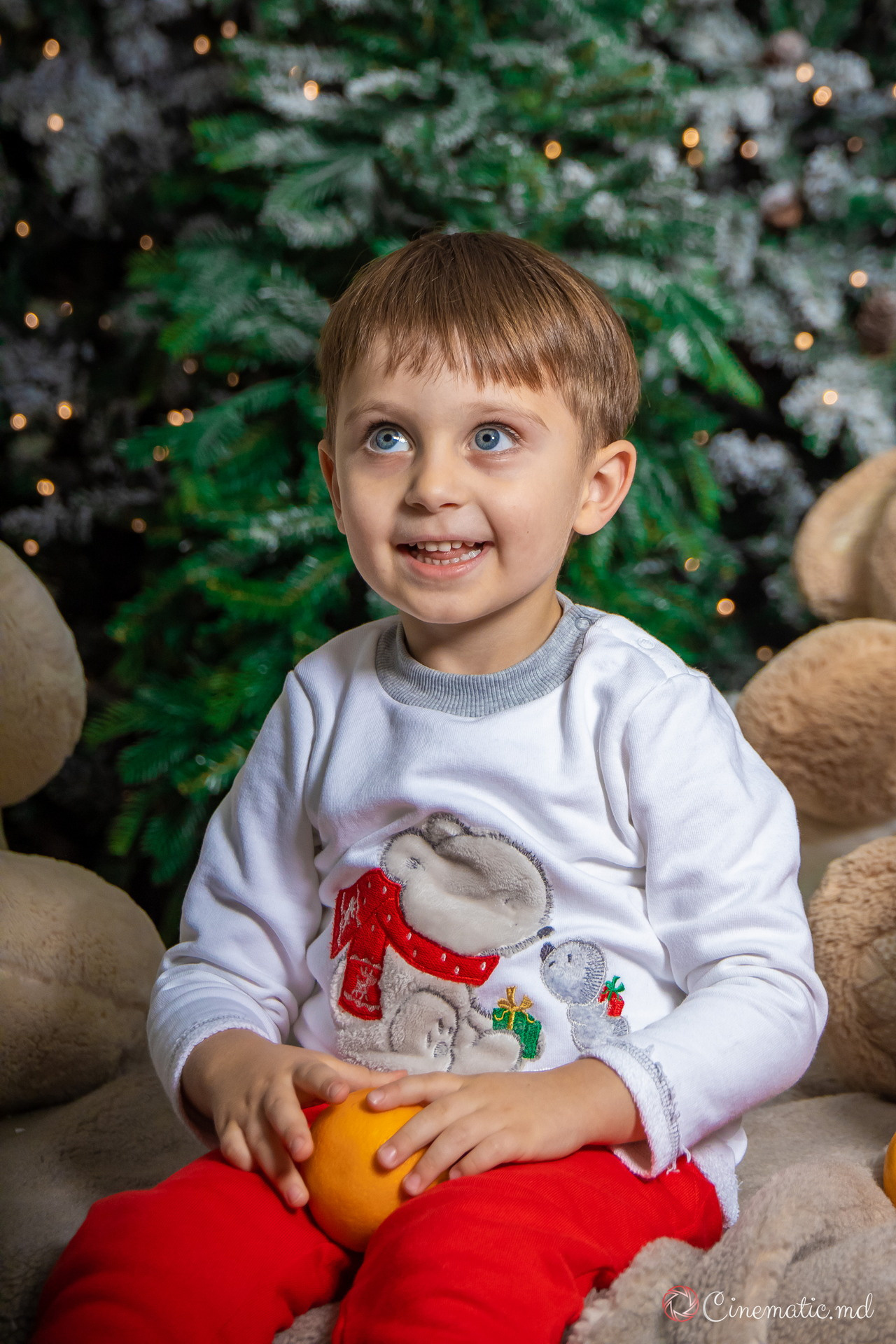 New Year. ✔️ Servicii foto si video in Chisinau Moldova - Cinematic.md