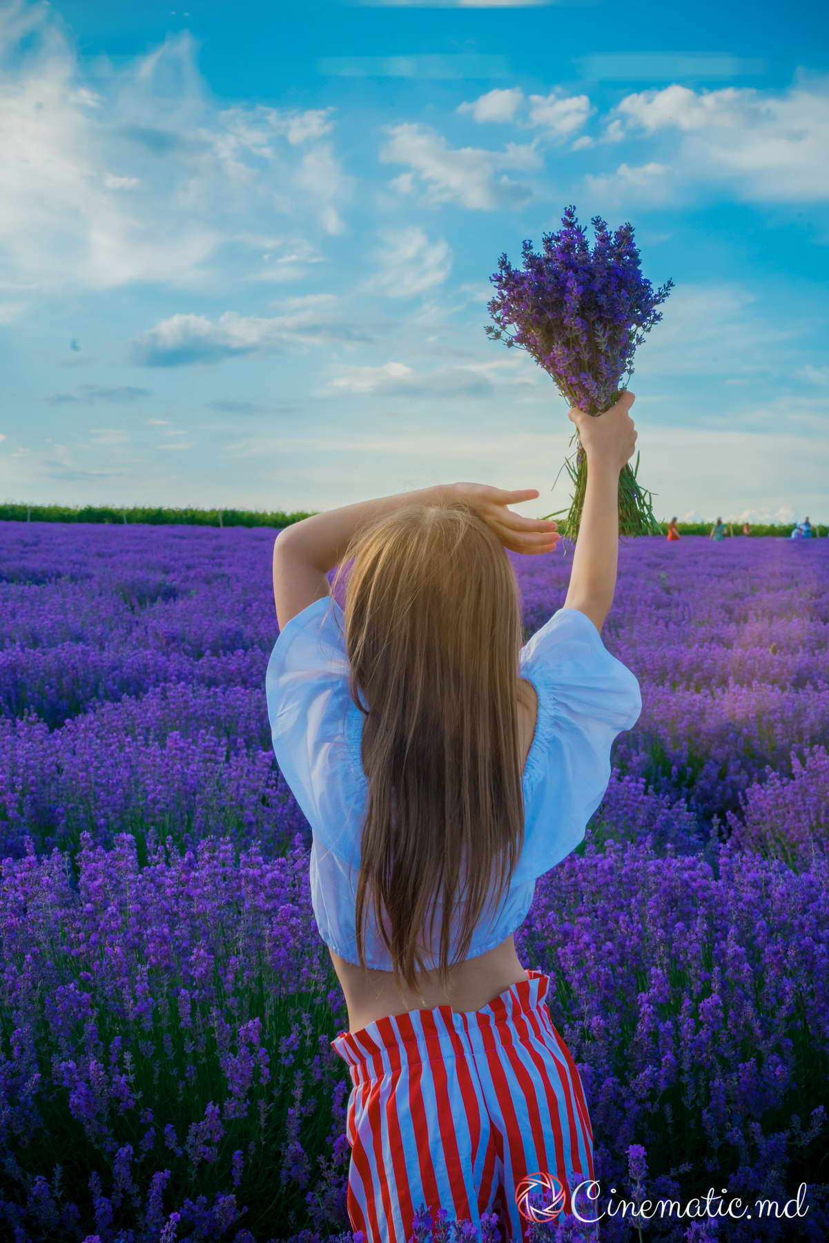Fotosessie Lavanda Chisinau Moldova. ✔️ Servicii foto si video in Chisinau Moldova - Cinematic.md