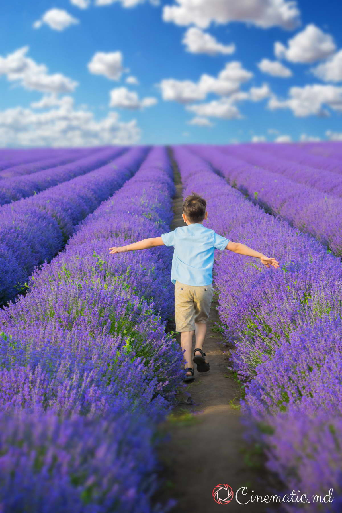 Fotosessie Lavanda Chisinau Moldova. ✔️ Servicii foto si video in Chisinau Moldova - Cinematic.md
