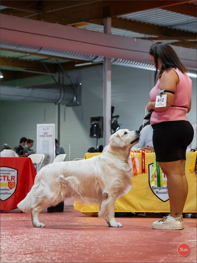Expo canine 🇫🇷 Beziers 11-12/10/2025. Photographe à Strasbourg | Portraits, Studio, Enfants, Événements